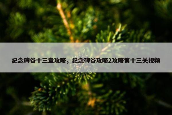 纪念碑谷十三章攻略，纪念碑谷攻略2攻略第十三关视频