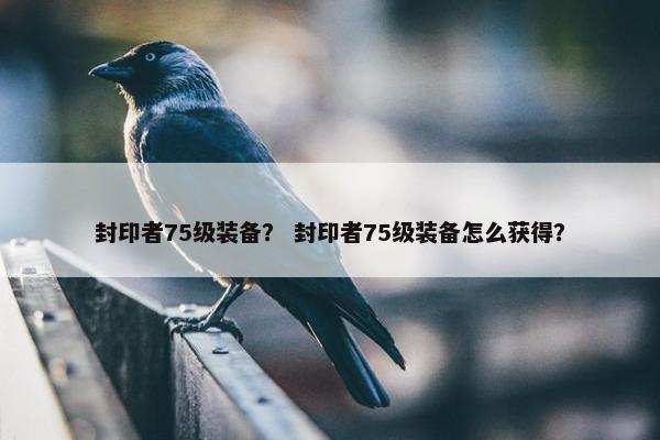 封印者75级装备？ 封印者75级装备怎么获得？