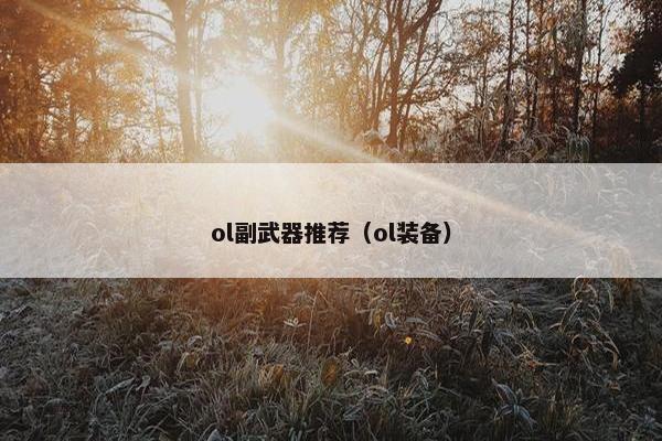 ol副武器推荐（ol装备）