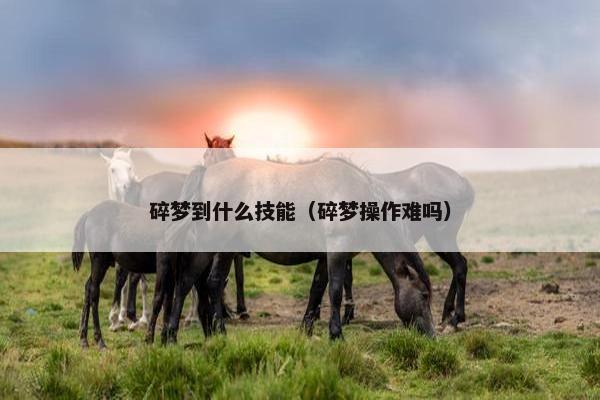 碎梦到什么技能（碎梦操作难吗）