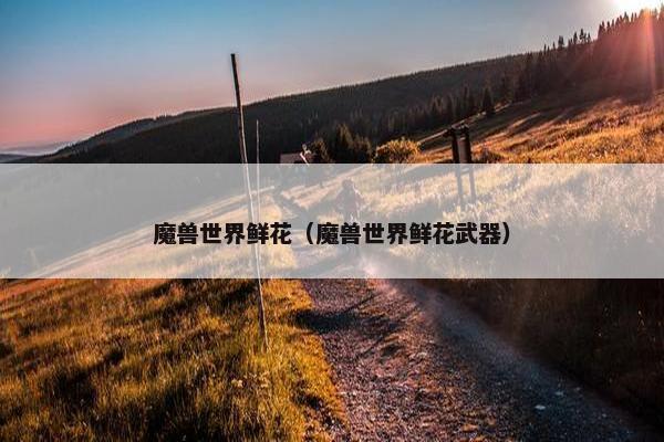魔兽世界鲜花（魔兽世界鲜花武器）