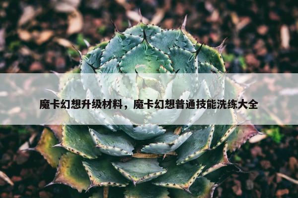 魔卡幻想升级材料，魔卡幻想普通技能洗练大全