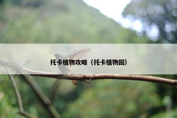 托卡植物攻略（托卡植物园）