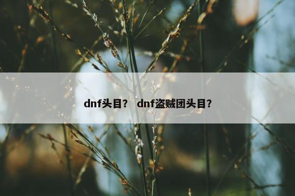 dnf头目？ dnf盗贼团头目？