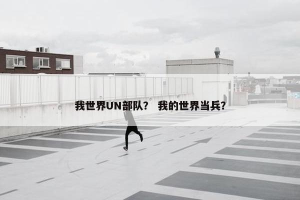 我世界UN部队？ 我的世界当兵？