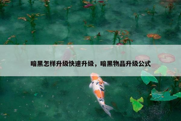 暗黑怎样升级快速升级，暗黑物品升级公式