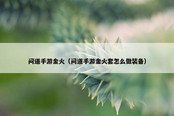 问道手游金火（问道手游金火套怎么做装备）