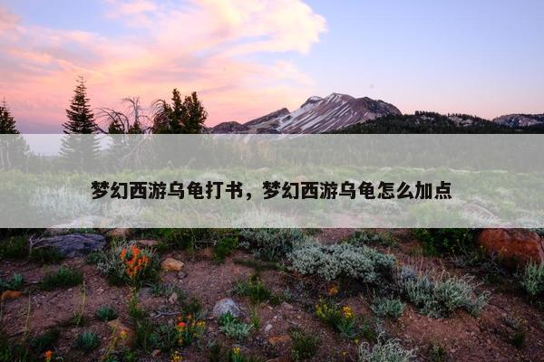 梦幻西游乌龟打书，梦幻西游乌龟怎么加点