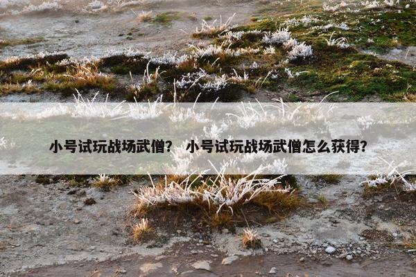 小号试玩战场武僧？ 小号试玩战场武僧怎么获得？