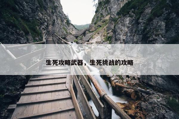 生死攻略武器，生死挑战的攻略