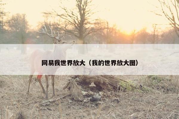 网易我世界放大（我的世界放大图）