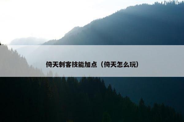 倚天刺客技能加点（倚天怎么玩）