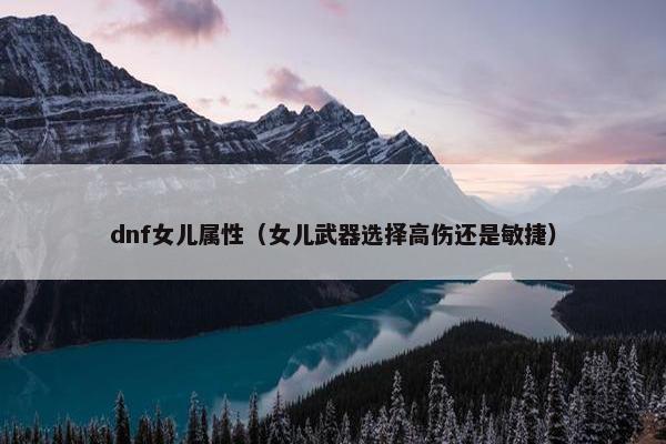 dnf女儿属性（女儿武器选择高伤还是敏捷）