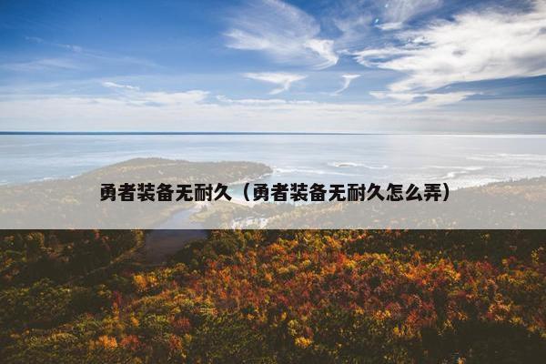 勇者装备无耐久（勇者装备无耐久怎么弄）