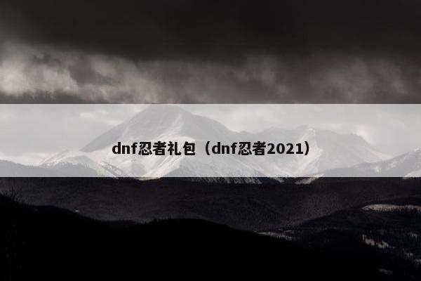 dnf忍者礼包（dnf忍者2021）