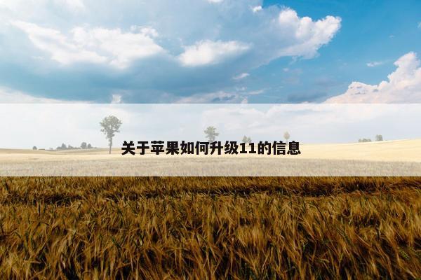 关于苹果如何升级11的信息