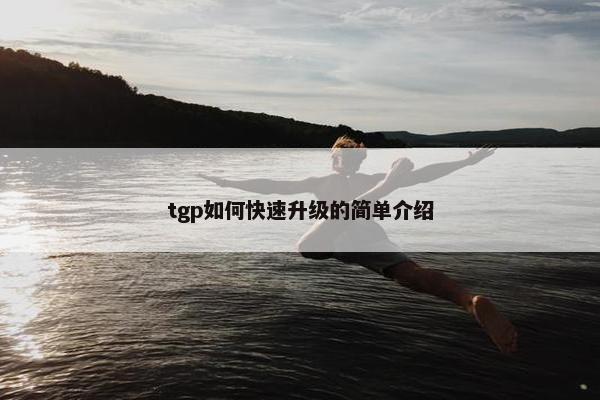 tgp如何快速升级的简单介绍
