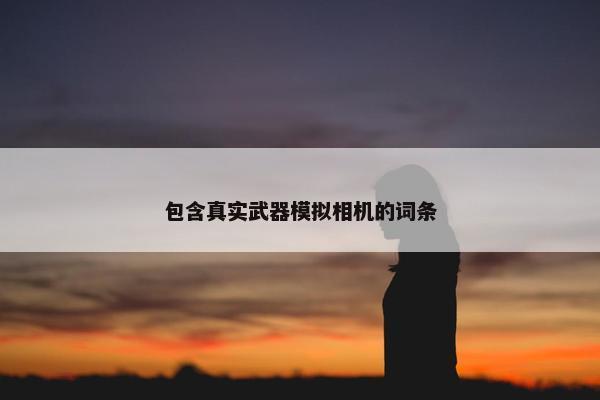 包含真实武器模拟相机的词条