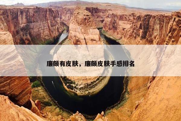廉颇有皮肤，廉颇皮肤手感排名