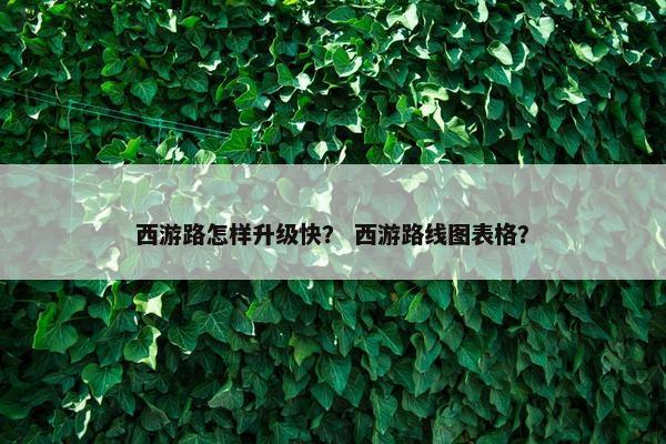 西游路怎样升级快？ 西游路线图表格？