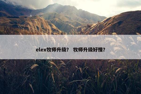 elex牧师升级？ 牧师升级好慢？