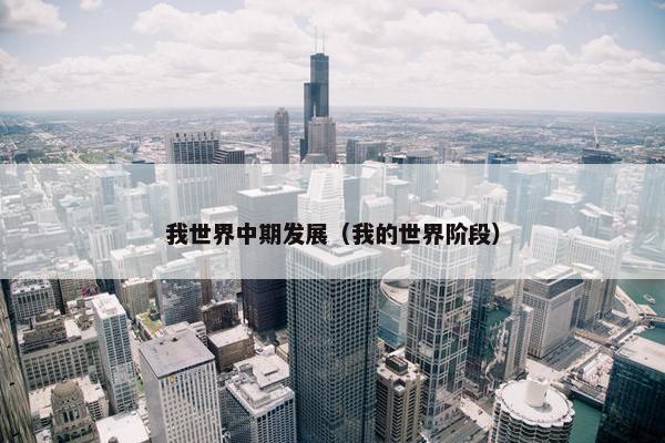 我世界中期发展（我的世界阶段）