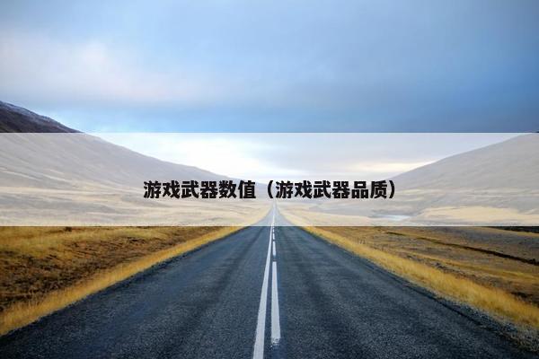 游戏武器数值（游戏武器品质）