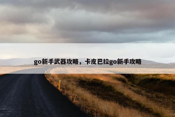 go新手武器攻略，卡皮巴拉go新手攻略