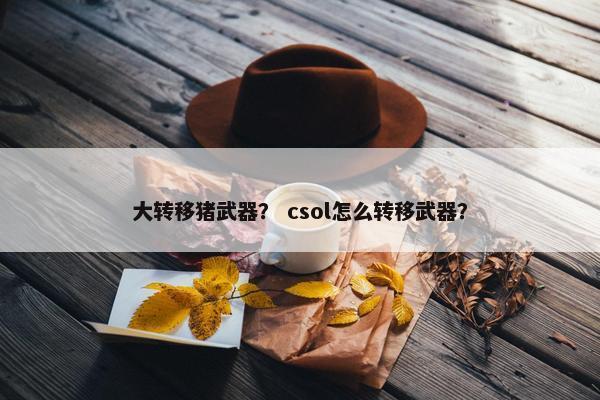 大转移猪武器？ csol怎么转移武器？