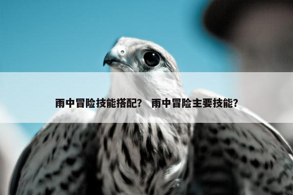 雨中冒险技能搭配？ 雨中冒险主要技能？