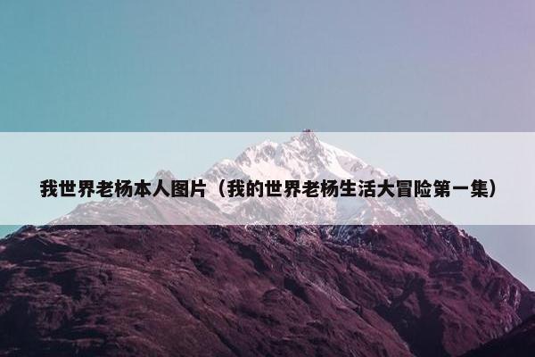 我世界老杨本人图片（我的世界老杨生活大冒险第一集）