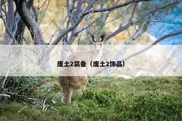 废土2装备（废土2饰品）