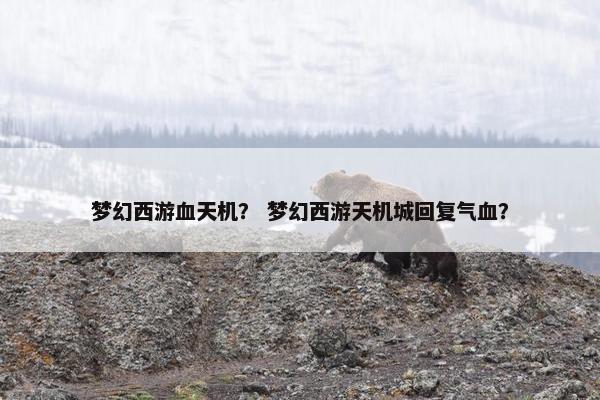 梦幻西游血天机？ 梦幻西游天机城回复气血？