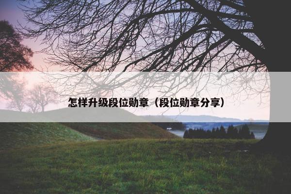 怎样升级段位勋章（段位勋章分享）