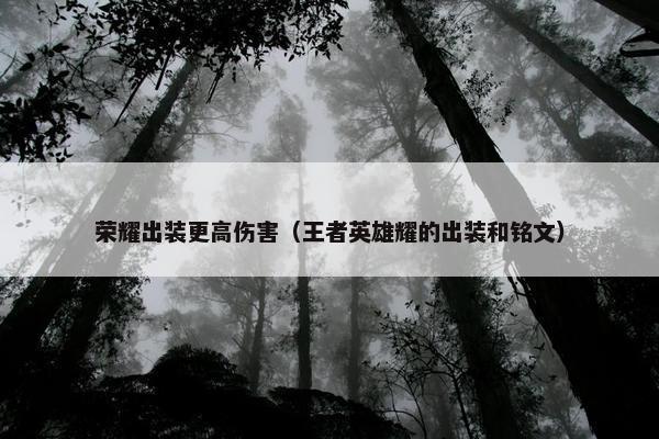 荣耀出装更高伤害（王者英雄耀的出装和铭文）