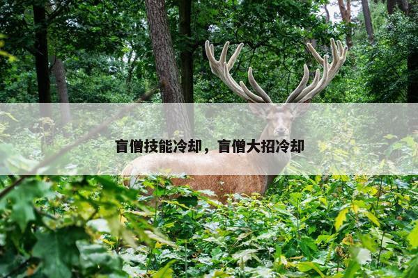 盲僧技能冷却，盲僧大招冷却