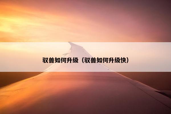 驭兽如何升级（驭兽如何升级快）