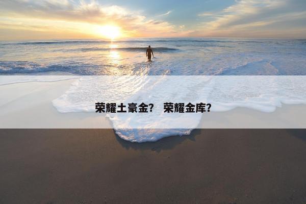 荣耀土豪金？ 荣耀金库？