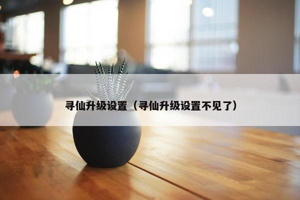 寻仙升级设置（寻仙升级设置不见了）