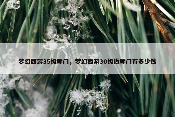 梦幻西游35级师门，梦幻西游30级做师门有多少钱