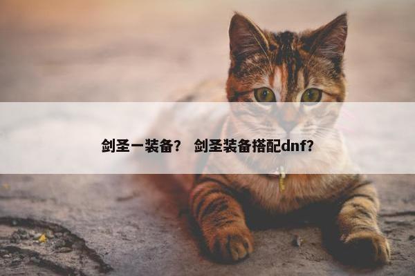 剑圣一装备？ 剑圣装备搭配dnf？