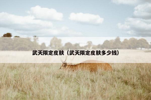武天限定皮肤（武天限定皮肤多少钱）