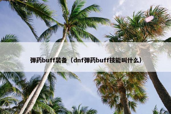 弹药buff装备（dnf弹药buff技能叫什么）