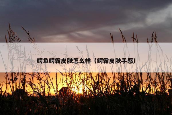 鳄鱼鳄霸皮肤怎么样（鳄霸皮肤手感）