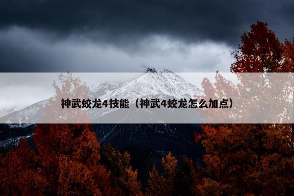 神武蛟龙4技能（神武4蛟龙怎么加点）