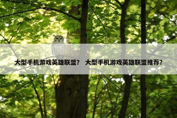 大型手机游戏英雄联盟？ 大型手机游戏英雄联盟推荐？