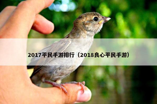 2017平民手游排行（2018良心平民手游）