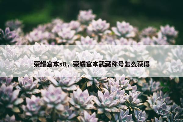 荣耀宫本s8，荣耀宫本武藏称号怎么获得