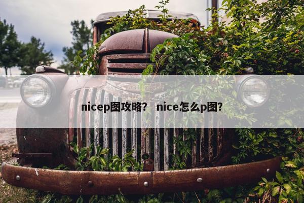 nicep图攻略？ nice怎么p图？