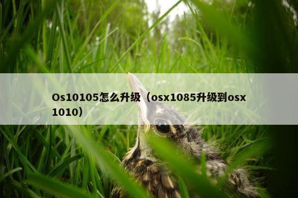 Os10105怎么升级（osx1085升级到osx1010）